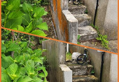 苔の汚れを高圧洗浄で一新！明るく蘇った壁にお客様も大満足